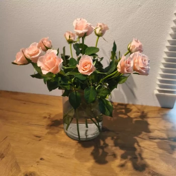 Opiekunka: Justyna G.