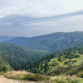 Opiekunka: Amelia J.