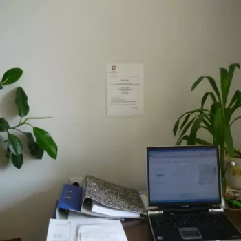 Agencja: Agencja Pracy Tymczasowej  HAUS-CARE.24h, nr. certyfikatu 6390