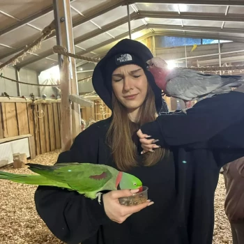 Opiekunka: Julia S.