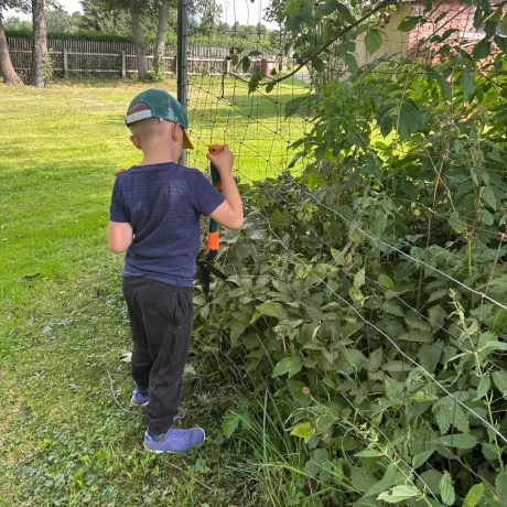 Szukam: Szukamy zaufanej niani do dorywczej opieki nad dzieckiem