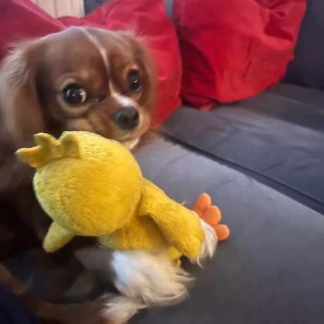 Szukam: Malgorzata S.