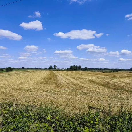 Szukam: Opieka nad dzieckiem na pół etatu Kraków