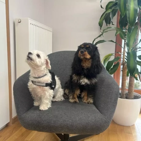 Szukam: Magdalena N.