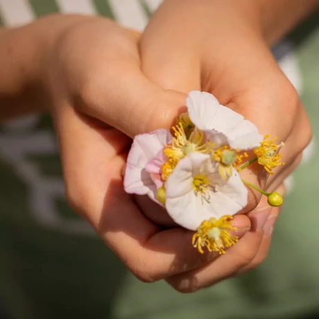 Szukam: Magdalena K.