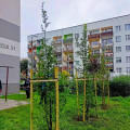 zdjęcie 4
