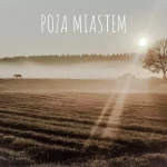 Pomoc Domowa