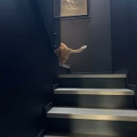 pomoce domowe - zdjęcie ogłoszenia Poszukuję pomocy do sprzątania domu