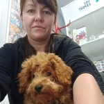 pomoce domowe - zdjęcie profilowe użytkownika Maria D.