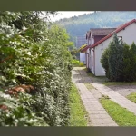pomoce domowe - zdjęcie ogłoszenia Zatrudnię pomoc domową - Gdynia, Mały Kack
