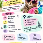 pomoce domowe - zdjęcie profilowe użytkownika Monika M.
