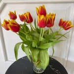 pomoce domowe - zdjęcie ogłoszenia Szukam doświadczonej osoby