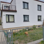 pomoce domowe - zdjęcie ogłoszenia Potrzebna osoba do pomocy domowej