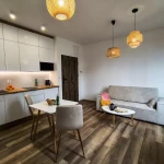pomoce domowe - zdjęcie ogłoszenia Sprzątanie apartamentów
