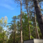 pomoce domowe - zdjęcie ogłoszenia Poszukiwana osoba do sprzątania w Marynin, gm. Grodzisk Mazowiecki, woj. mazowieckie