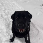 pomoce domowe - zdjęcie profilowe użytkownika Maryna M.