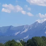 Pomoc Domowa