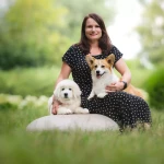 pomoce domowe - zdjęcie ogłoszenia Szukam osoby do pomocy w porządkach 