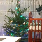 pomoce domowe - zdjęcie profilowe użytkownika Aurelia K.
