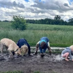 pomoce domowe - zdjęcie ogłoszenia Pomoc domowa w rodzinie wielodzietnej 