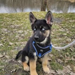 pomoce domowe - zdjęcie profilowe użytkownika Brygida G.