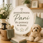 pomoce domowe - zdjęcie ogłoszenia Poszukuję Pani do pomocy w domu