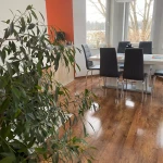 pomoce domowe - zdjęcie profilowe użytkownika Olga Y.