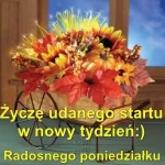 Sprzątanie