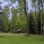 Pomoc Domowa