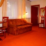 pomoce domowe - zdjęcie ogłoszenia  sprzątanie domu i prace ogrodowe w Krynicy Zdrój