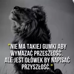 pomoce domowe - zdjęcie profilowe użytkownika Monika O.