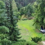 pomoce domowe - zdjęcie ogłoszenia Szukam osoby do pomocy