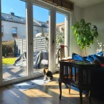 pomoce domowe - zdjęcie ogłoszenia Poszukuję do sprzątania w Gdynia, Chwarzno-Wiczlino