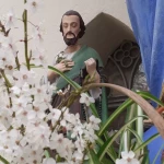 pomoce domowe - zdjęcie profilowe użytkownika Tomasz Ł.