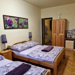 pomoce domowe - zdjęcie ogłoszenia Kraków - poszukiwana pomoc