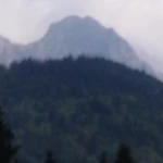 pomoce domowe - zdjęcie profilowe użytkownika Sylwia C.