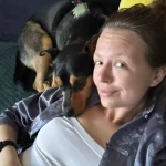 pomoce domowe - zdjęcie ogłoszenia Szukam pomocy domowej w Kraków