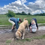 pomoce domowe - zdjęcie ogłoszenia Pomoc domowa w rodzinie wielodzietnej 