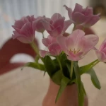 pomoce domowe - zdjęcie ogłoszenia Sprzątanie mieszkania 