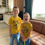 pomoce domowe - zdjęcie ogłoszenia Szukam osoby do pomocy domowej w Dąbrowa Górnicza