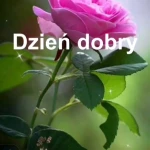 pomoce domowe - zdjęcie profilowe użytkownika Piotr K.