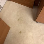 pomoce domowe - zdjęcie ogłoszenia Poszukuję do sprzątania + pranie dywanów KARCHER,