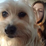 pomoce domowe - zdjęcie profilowe użytkownika Maja N.