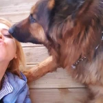 pomoce domowe - zdjęcie profilowe użytkownika Agnieszka D.