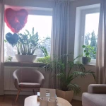 pomoce domowe - zdjęcie ogłoszenia Stała pomoc w prowadzeniu domu Mokotów