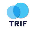 pomoce domowe - zdjęcie profilowe użytkownika Kasia N.