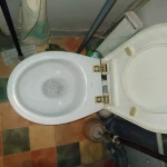 pomoce domowe - zdjęcie ogłoszenia Pomoc domowa w Łódź