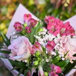 pomoce domowe - zdjęcie profilowe użytkownika Karolina K.