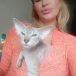 pomoce domowe - zdjęcie profilowe użytkownika Violetta F.