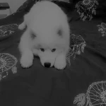 pomoce domowe - zdjęcie profilowe użytkownika Renata R.